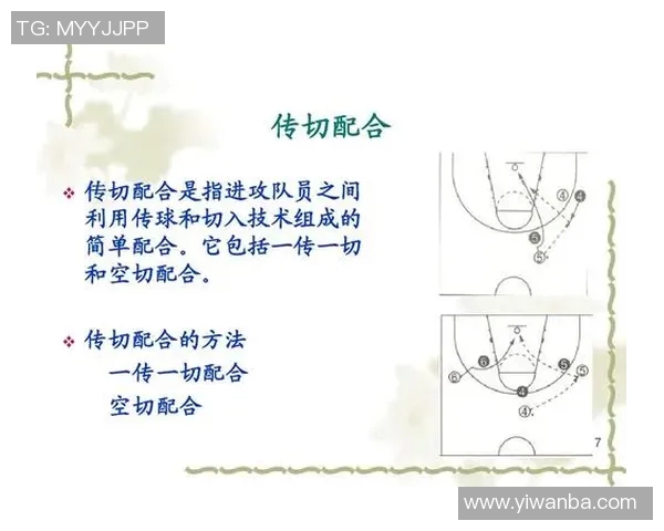深圳篮球队在冠军赛中的战术分析与表现评估